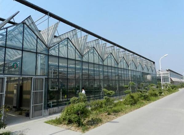 PC阳光板温室大棚