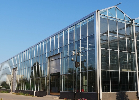 PC阳光板温室大棚建造方案(分享)